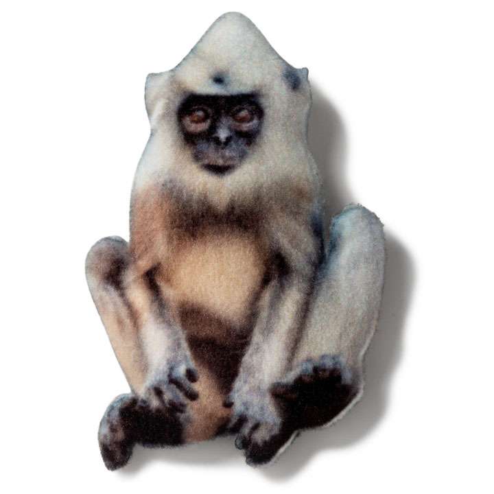 Магніт Мавпа тумарин - фото 1