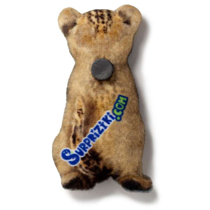 Магніт Маленьке левеня - фото 2