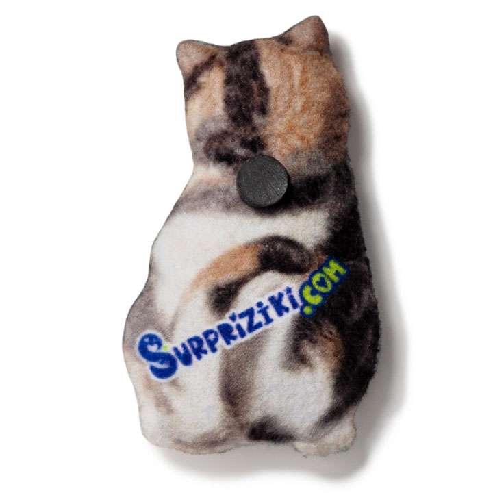 Магніт Екзотична короткошерста кішка - фото 2