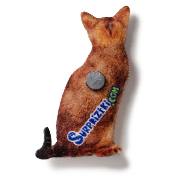 Магніт Чаузі - фото 2