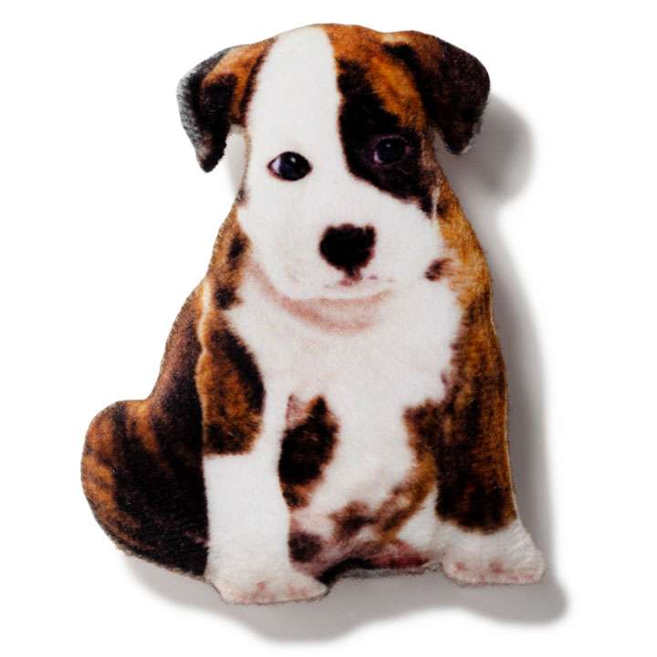 Магніт Американський стаффордширський тер'єр - фото 1