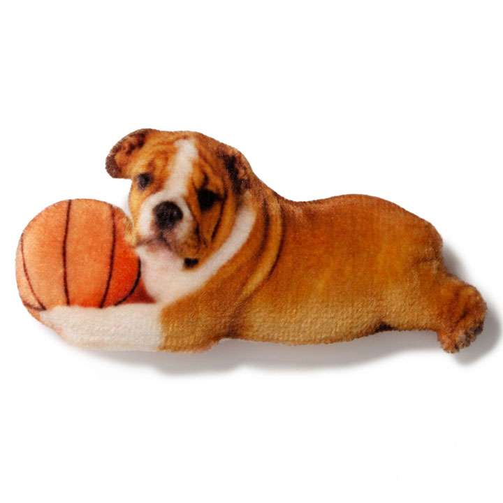 Магніт Англійський бульдог із м'ячиком - фото 1