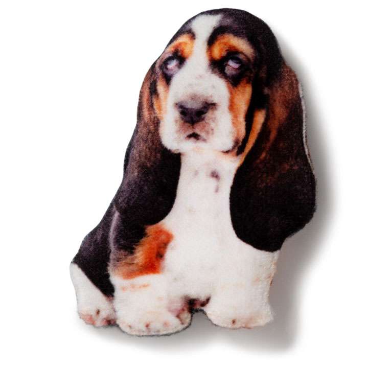 Магніт Бассет-хаунд - фото 1