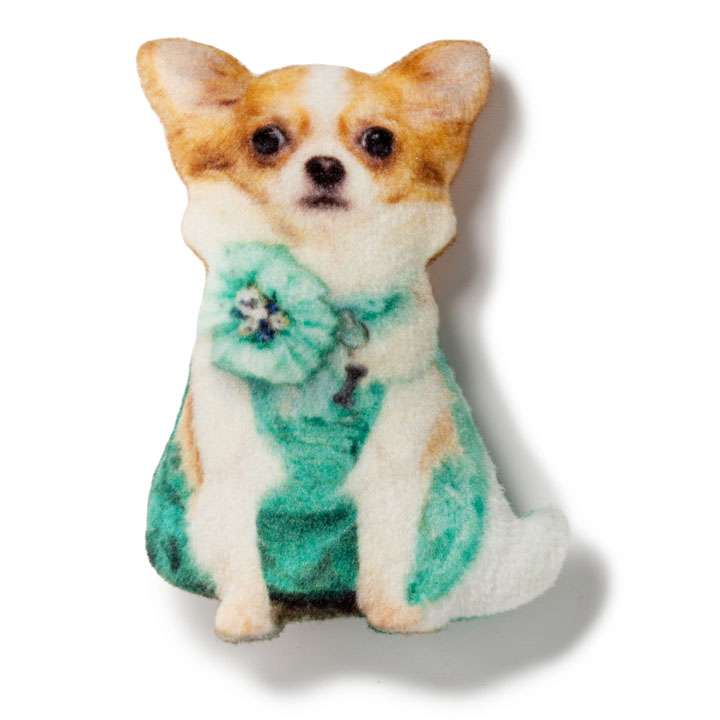 Магніт Чихуахуа в сукні - фото 1