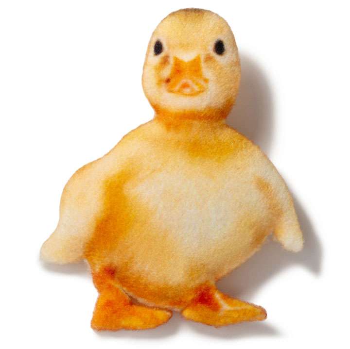 Магніт Каченя - фото 1