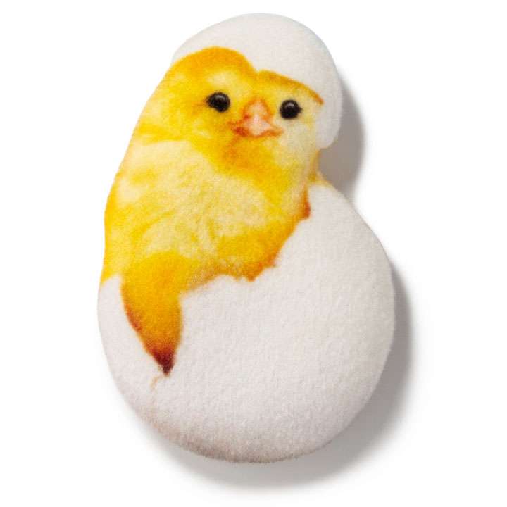 Магніт Курча в шкаралупі - фото 1