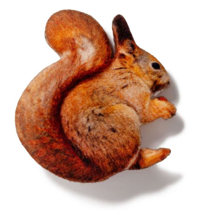 Магніт Білка - фото 1