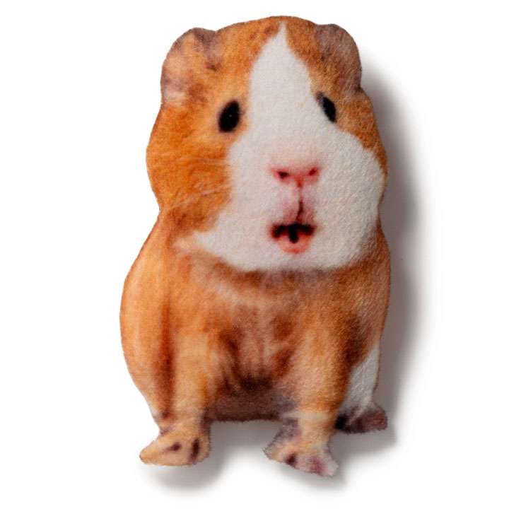 Магніт Морська свинка - фото 1