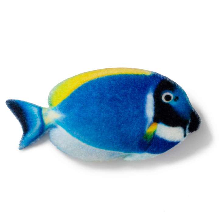 Магніт Тропічна риба папуга - фото 1