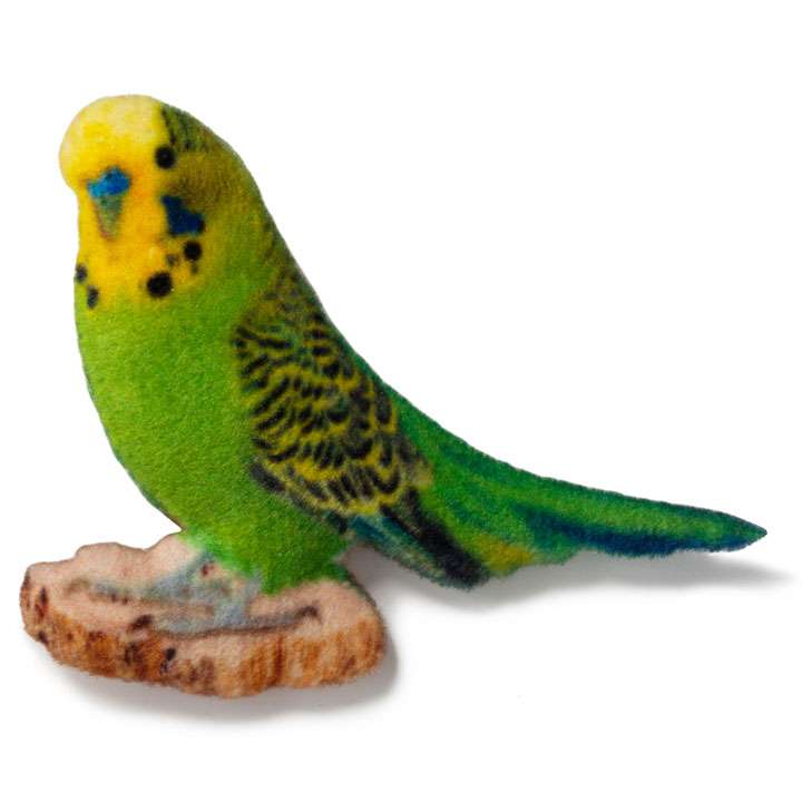 Магніт Хвилястий папуга - фото 1