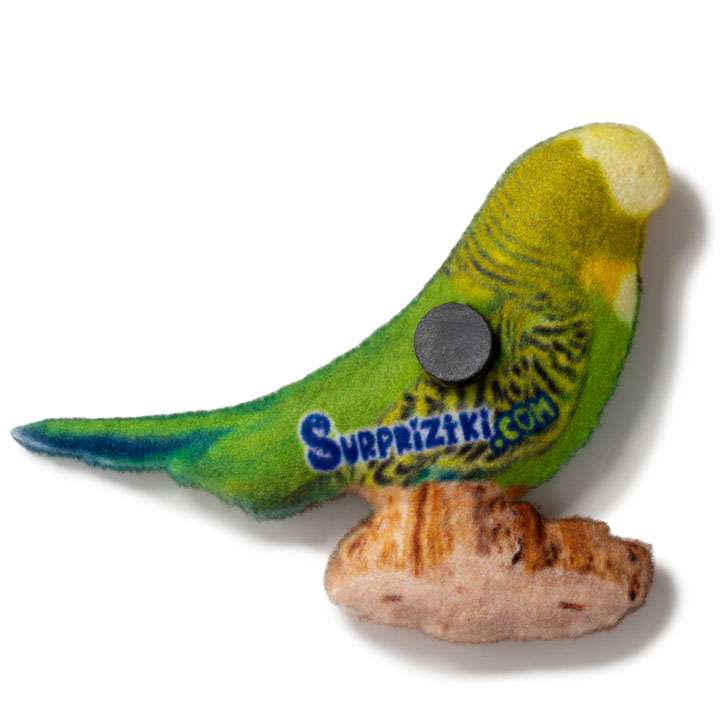 Магніт Хвилястий папуга - фото 2