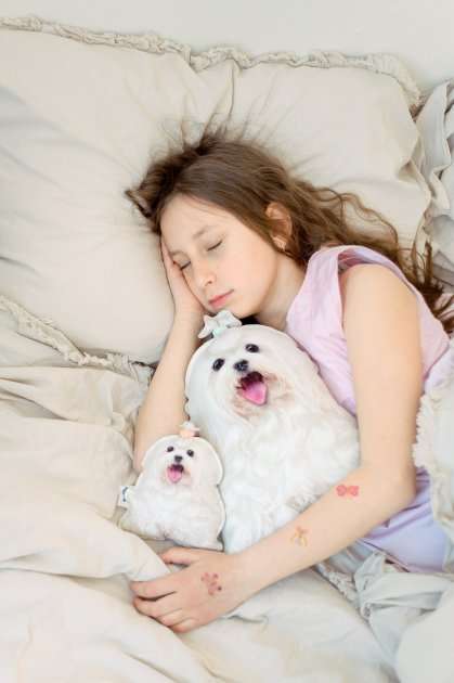 Реалістична іграшка-подушка Мальтійська болонка - фото 8