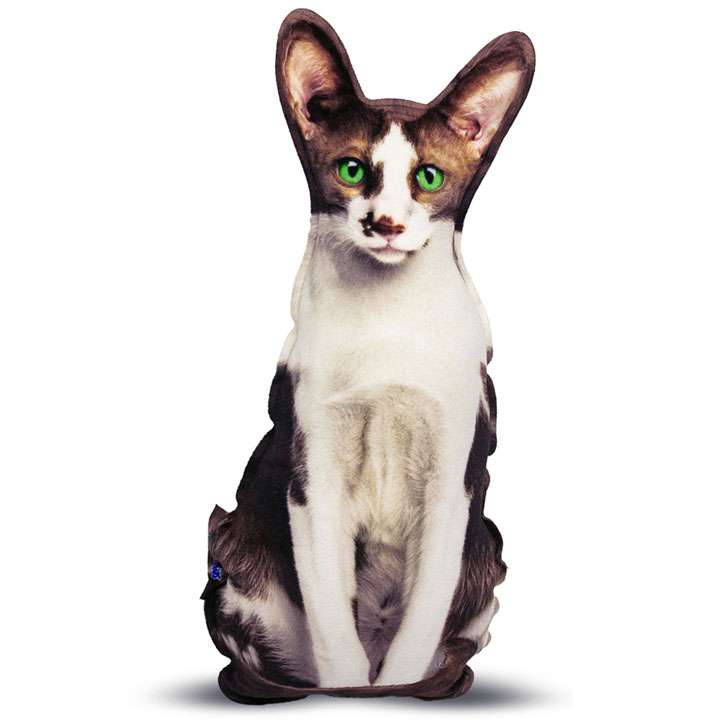 Реалістична іграшка-подушка Орієнтальна кішка - фото 1