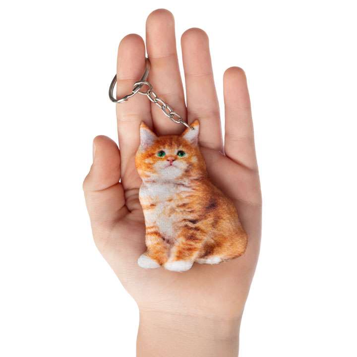 Брелок Мейн-кун - фото 1