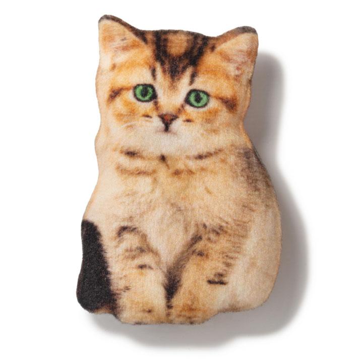 Магніт Бежеве кошеня