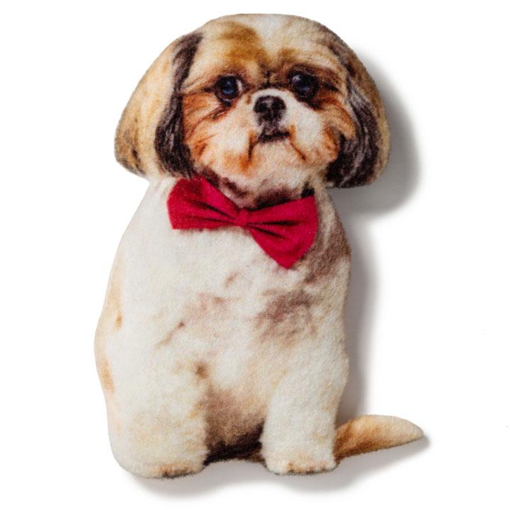 Магніт Ши-тцу