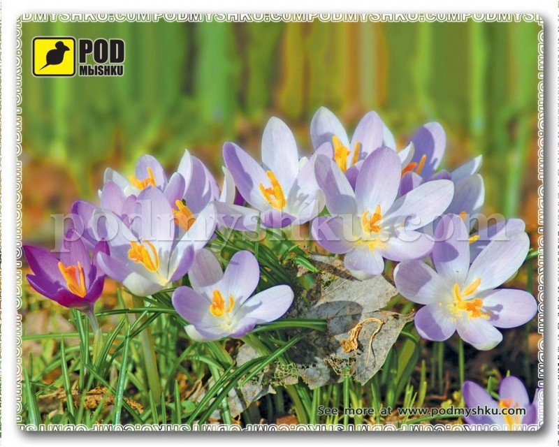 Килимок для миші