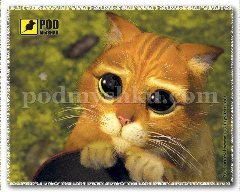 Замовити килимок для миші Котик за низькою ціною з доставкою в Україну