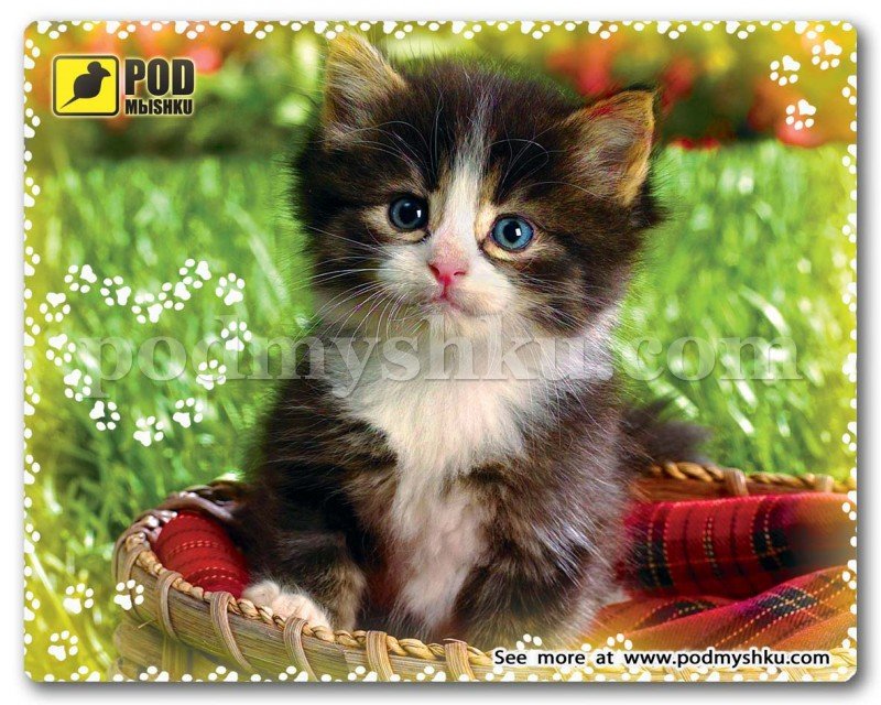 Килимок для миші