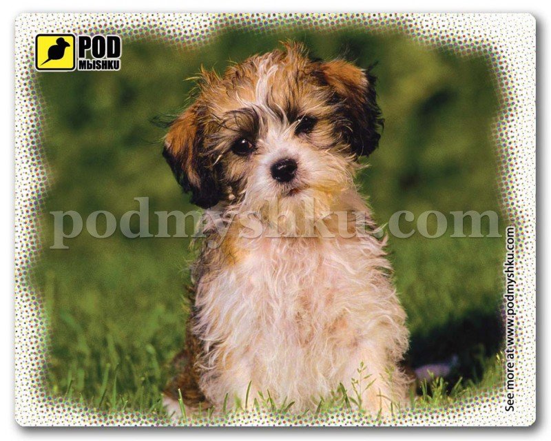 Килимок для миші