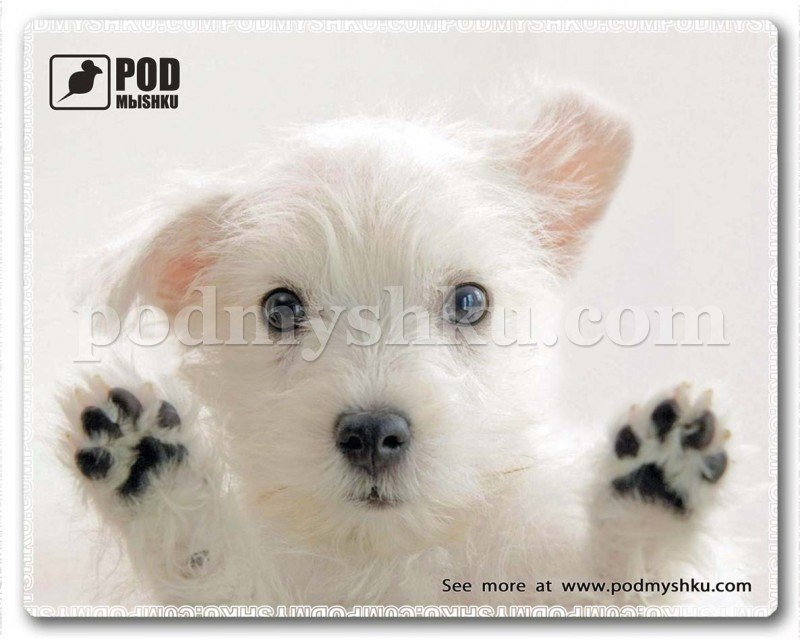 Килимок для миші