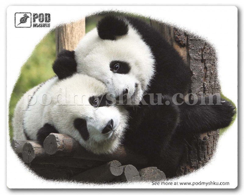 Замовити килимок для мишки Панди дешево онлайн