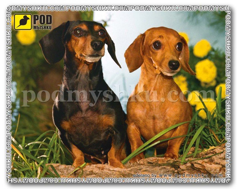 Килимок для миші