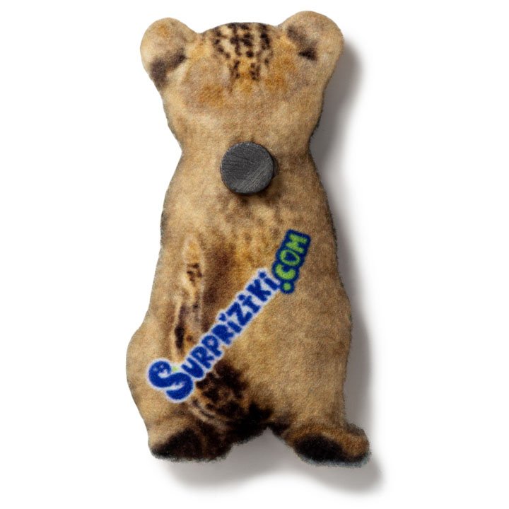 Магніт Маленьке левеня - фото 2