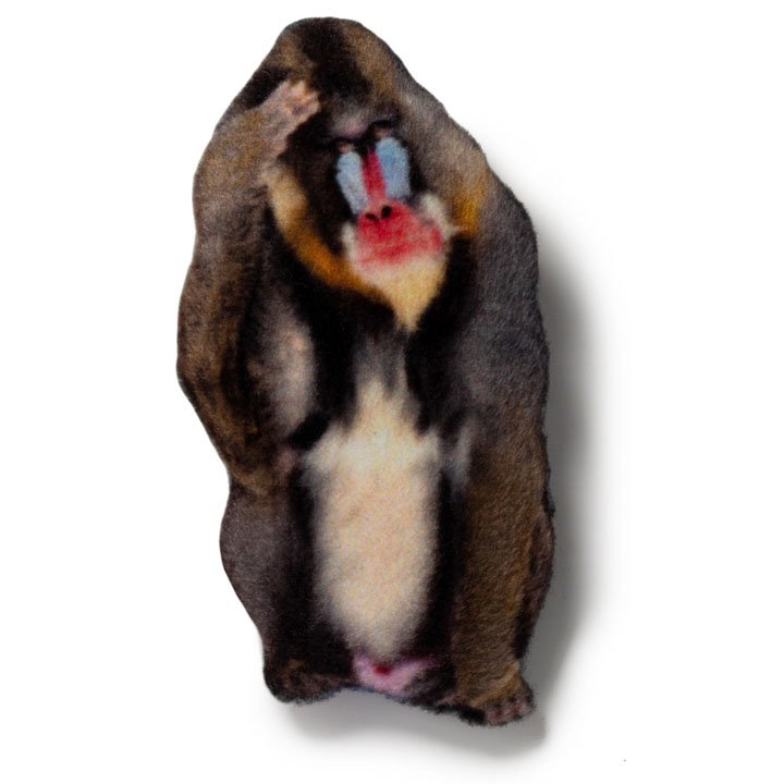 Магніт Мандрил