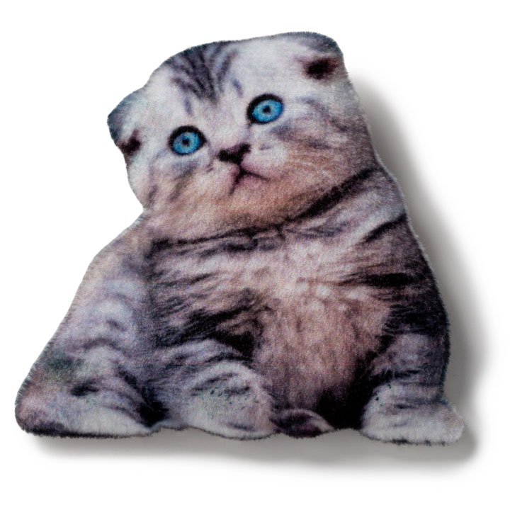 Магніт Британський вислоухий