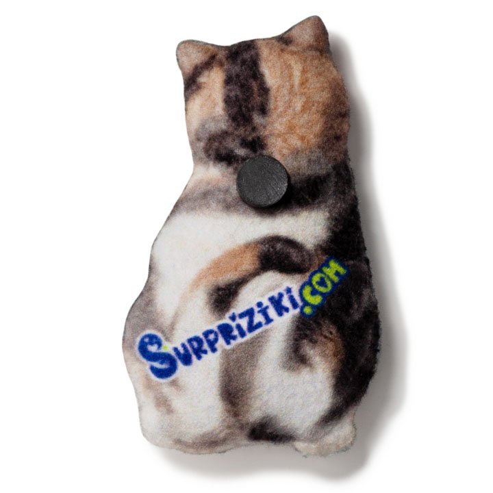 Магніт Екзотична короткошерста кішка - фото 2