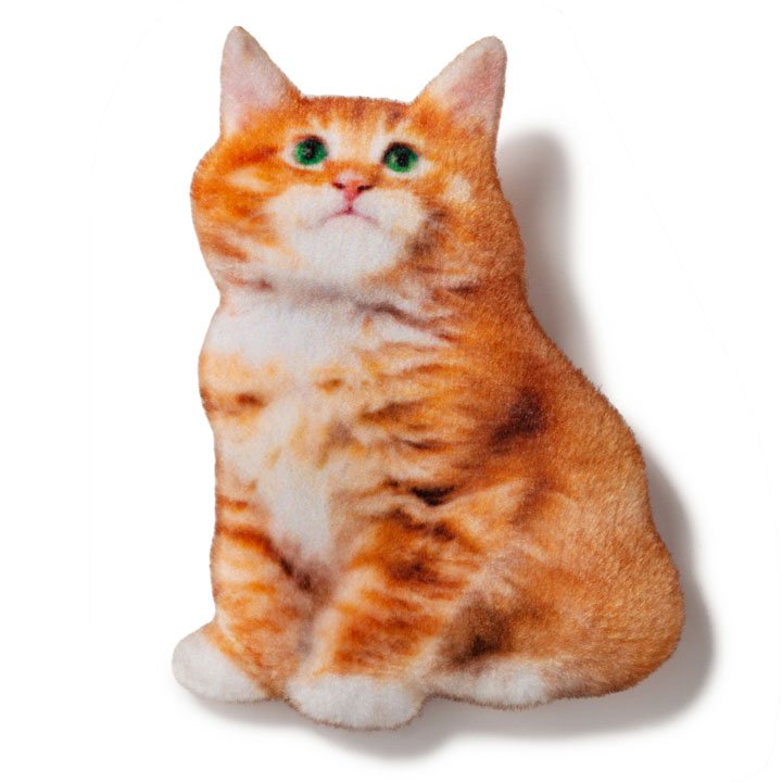 Магніт Мейн-кун