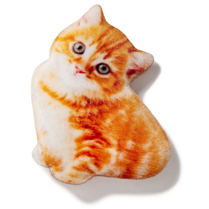 Магніт Руде кошеня