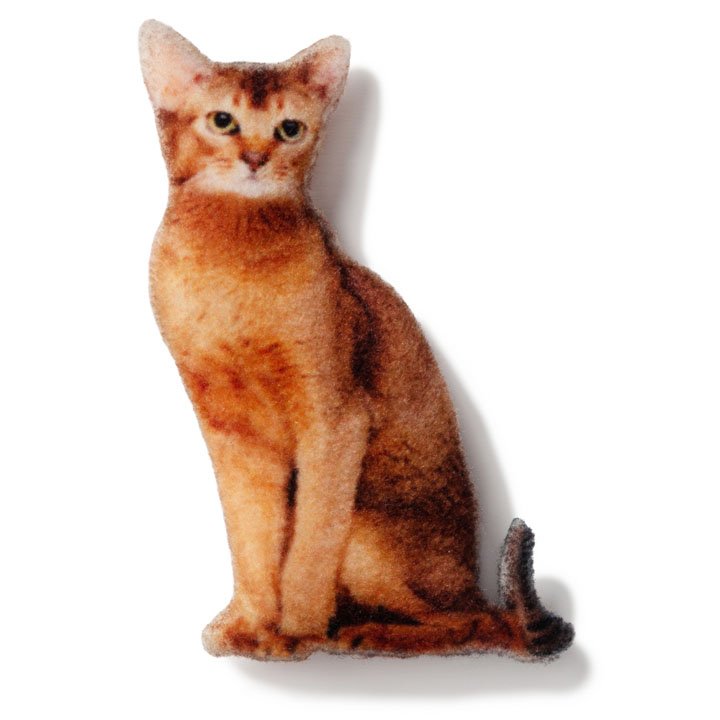 Магніт Чаузі