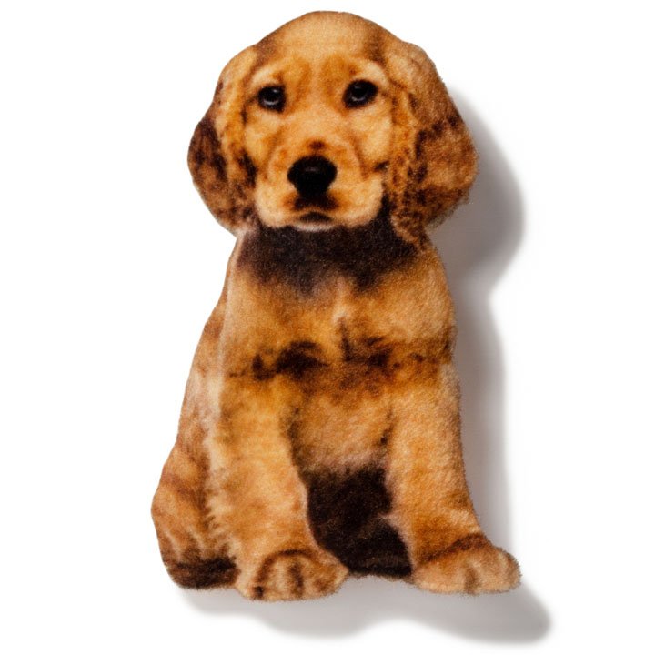 Магніт Англійський кокер-спаніель