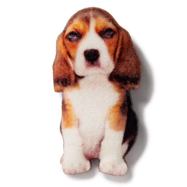 Магніт Бігль