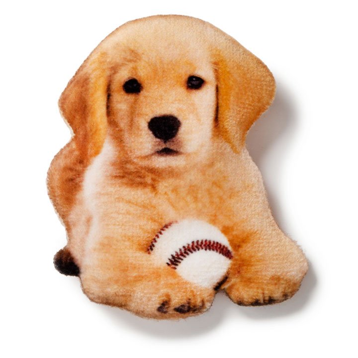 Магніт Золотистий ретрівер