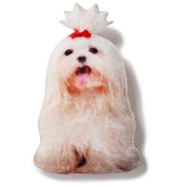 Магніт Мальтійська болонка