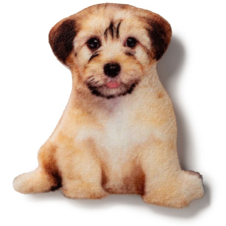 Магніт Норфолк-тер'єр