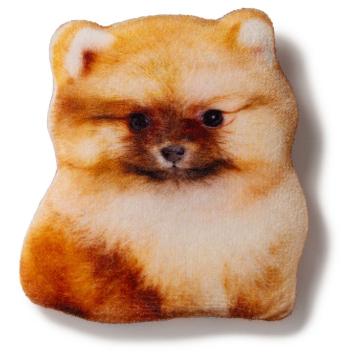 Магніт Померанський шпіц