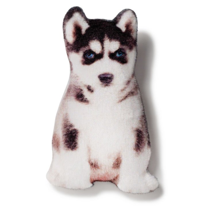 Магніт Сибірський хаски