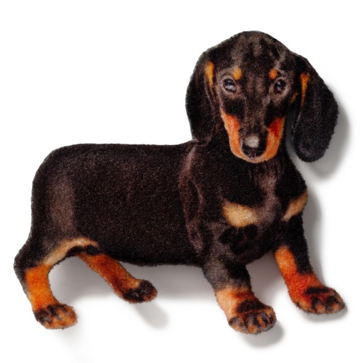 Магніт Такса