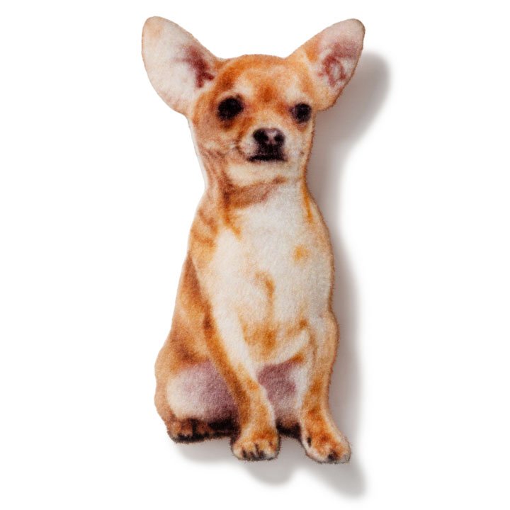 Магніт Чихуахуа