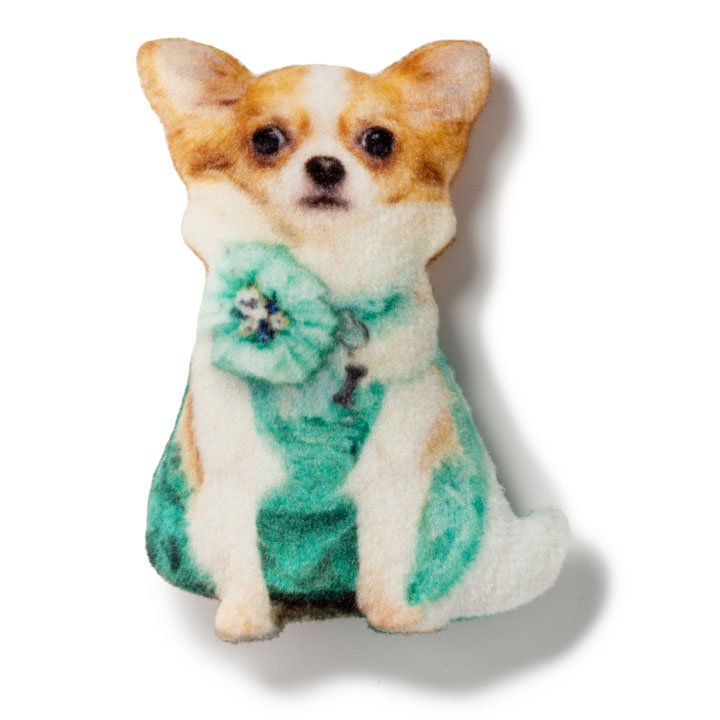 Магніт Чихуахуа в сукні