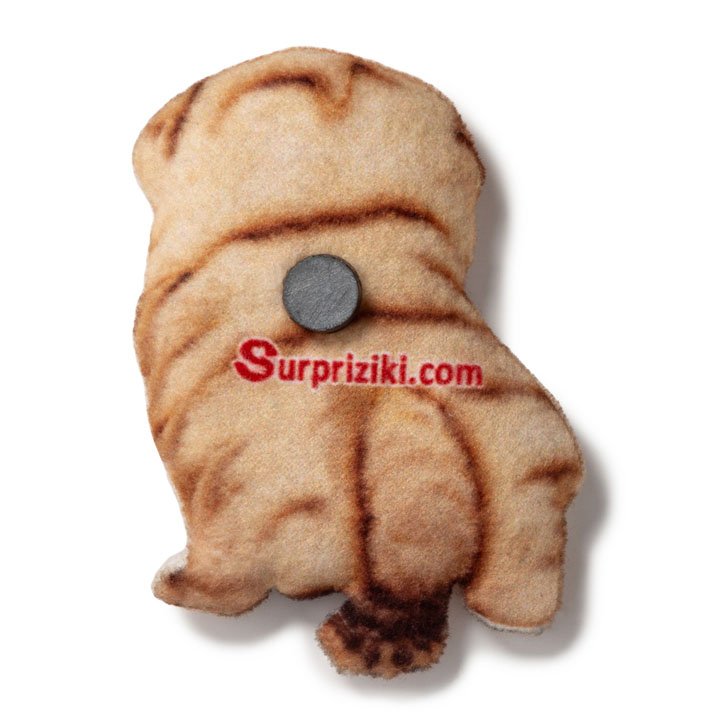 Магніт Шарпей - фото 2