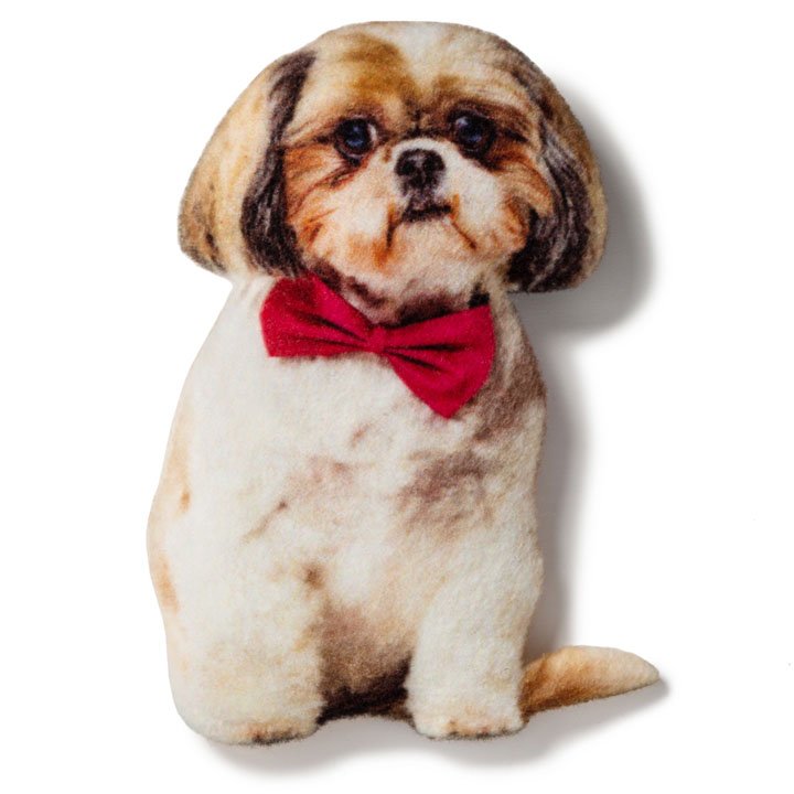 Магніт Ши-тцу