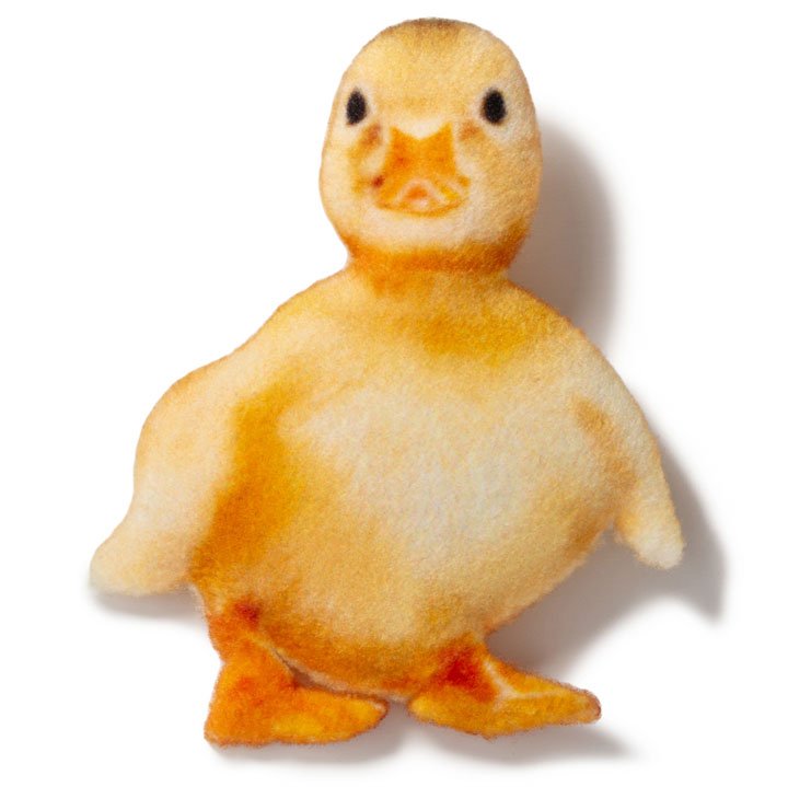 Магніт Каченя