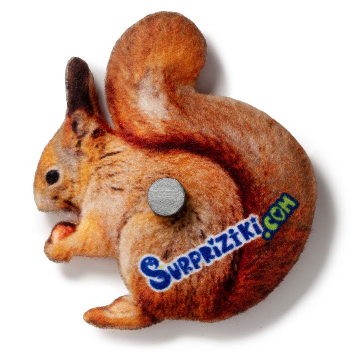 Магніт Білка - фото 2