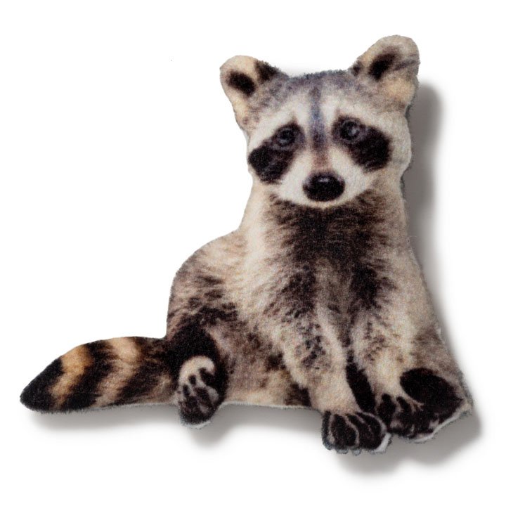 Магніт Енот