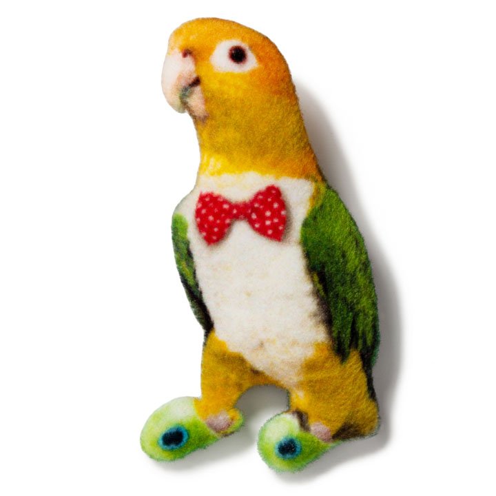 Магніт Папуга Каїка